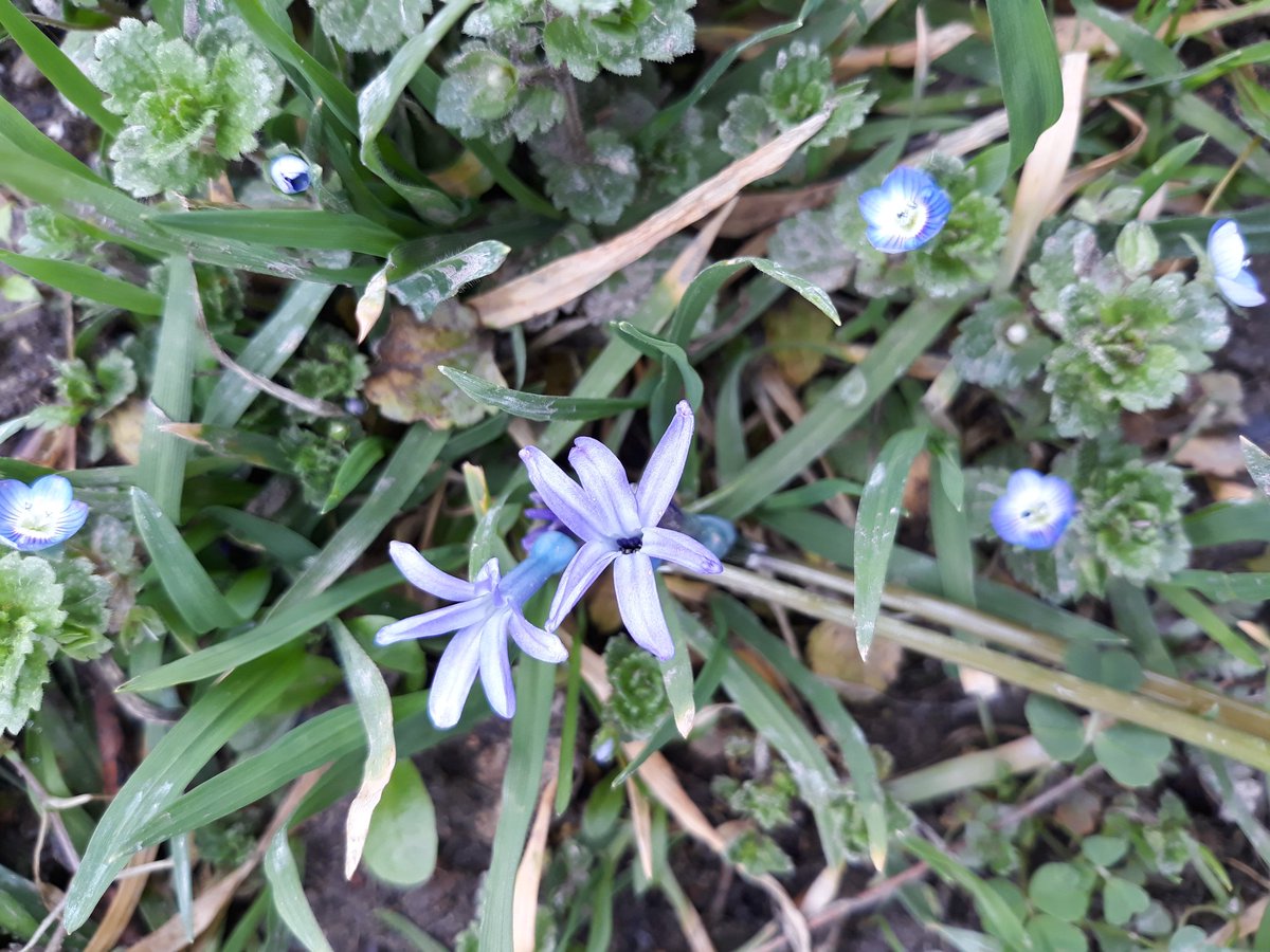 Mavi🌍 tweet media