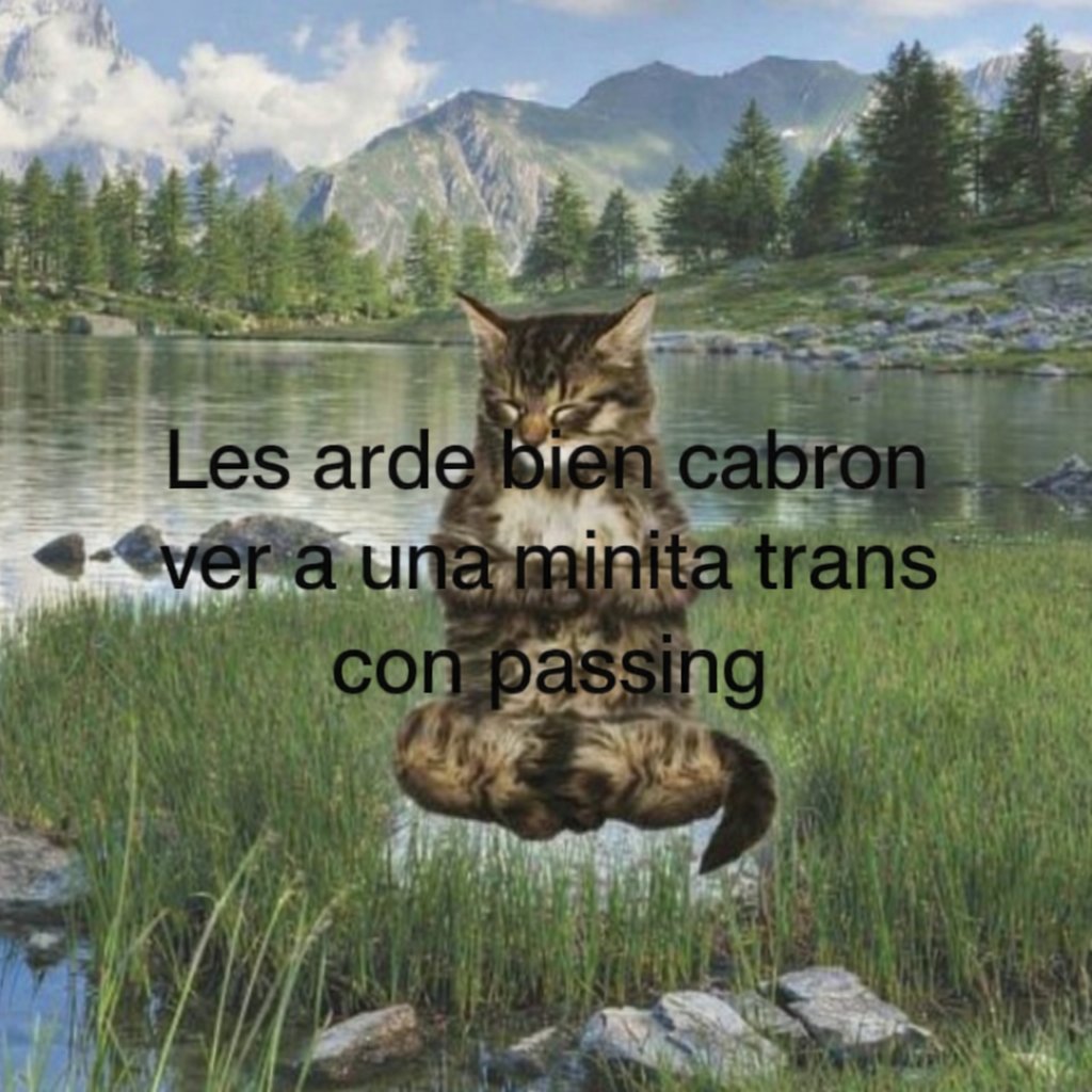 🐾Lewd Vixen Coven🦊🔞🏳️‍⚧️ tweet media