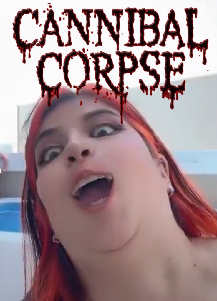 Koala Electrocutado (@srbuenahonra) on Twitter photo 