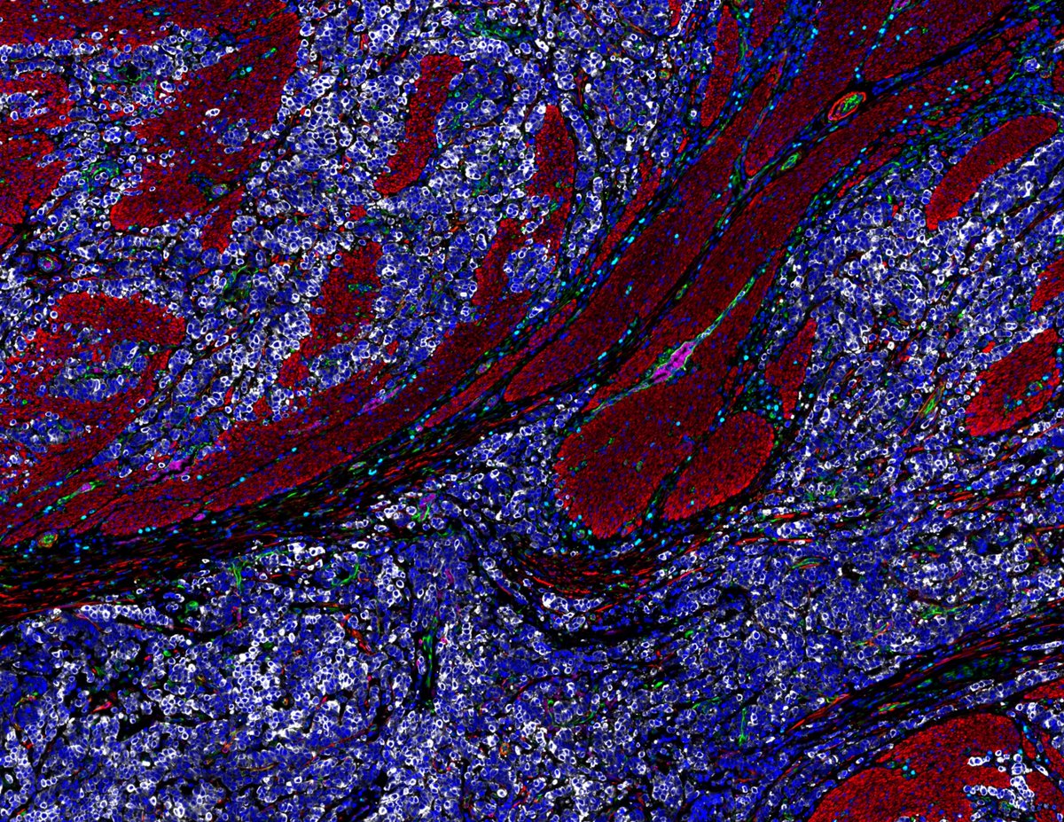 RareCyte, Inc. tweet media