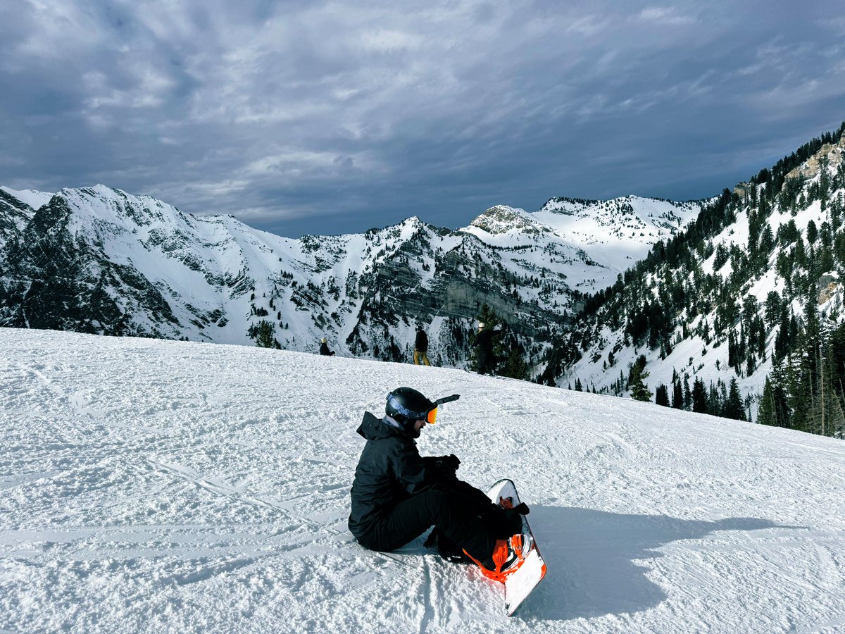 Twyla.ight tweet media