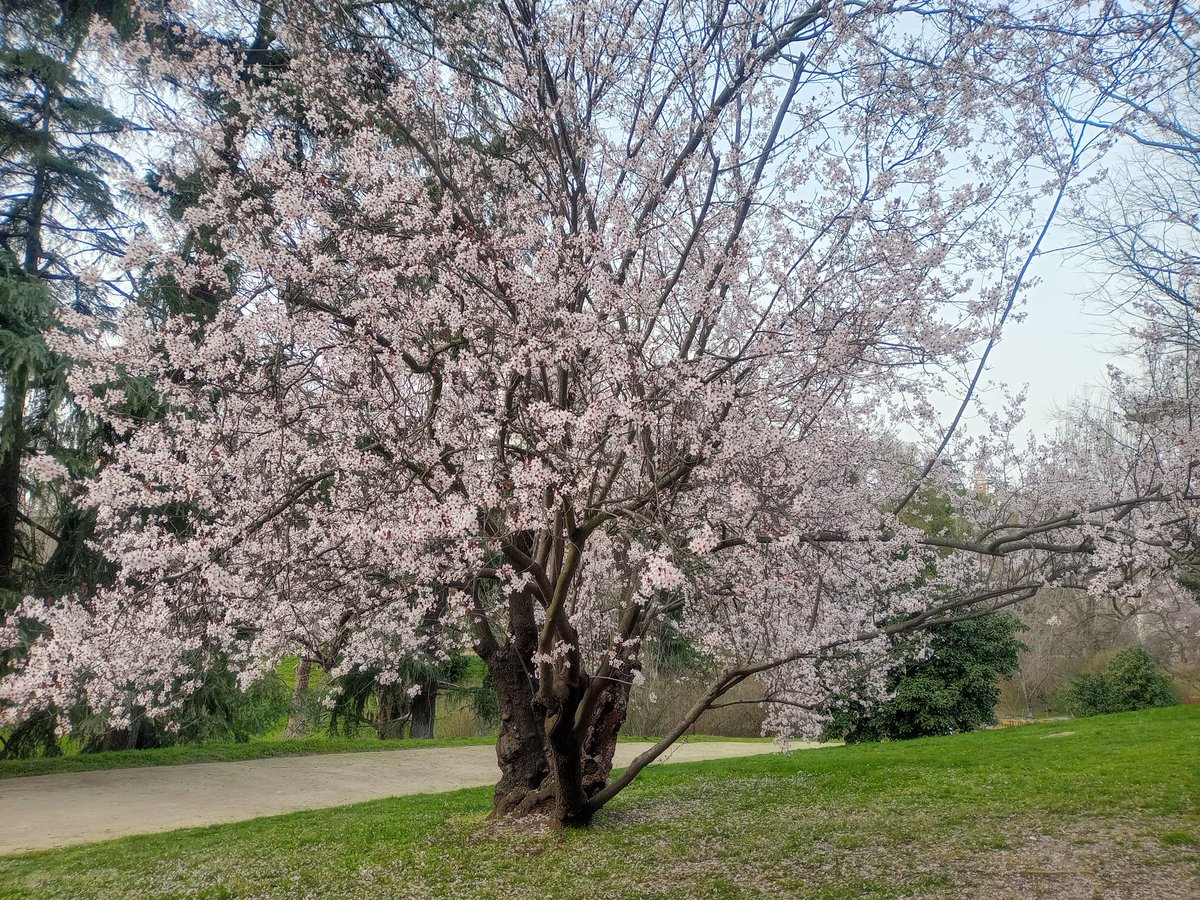 Jjjjjjjermosos están los cactus del Parque del Oeste, madre