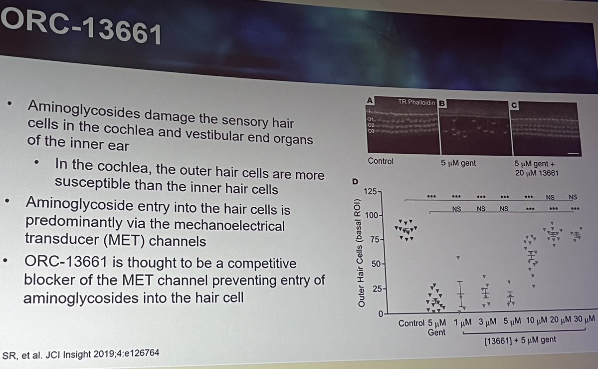 Emily Ward tweet media