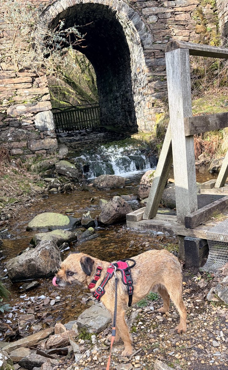 LittleGuyTed tweet media