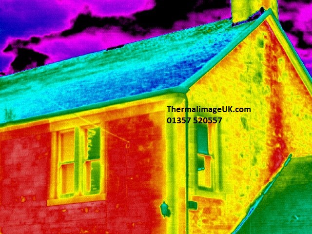 thermalimageguy tweet media