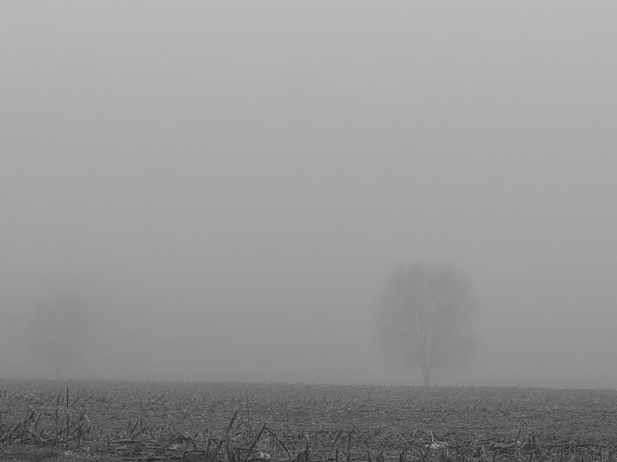 🌠🦇 (@carparkkittens) on Twitter photo 