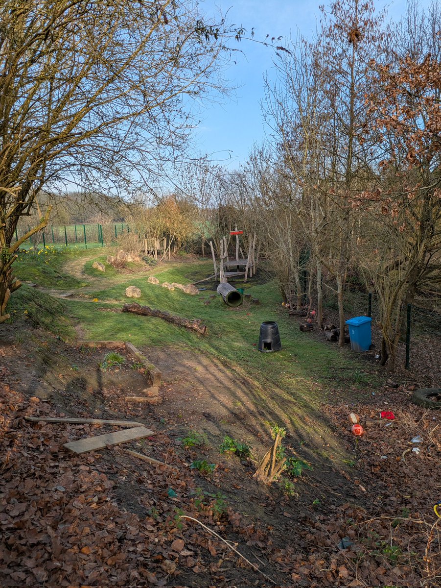 Cross-Curricular Orienteering tweet media