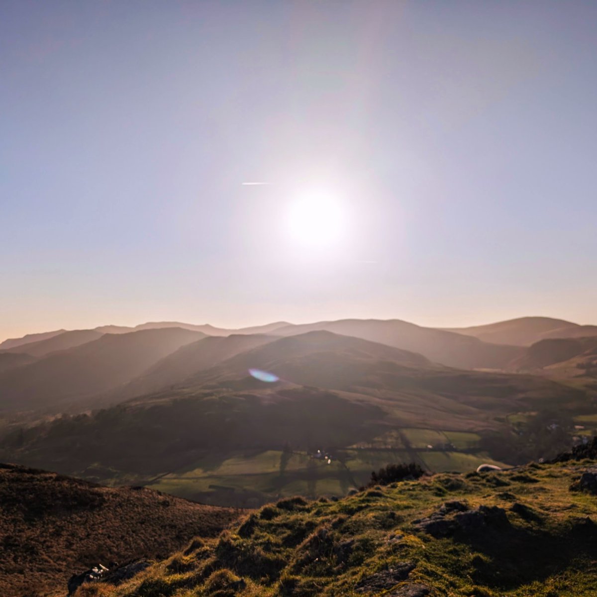 LakesPaul tweet media