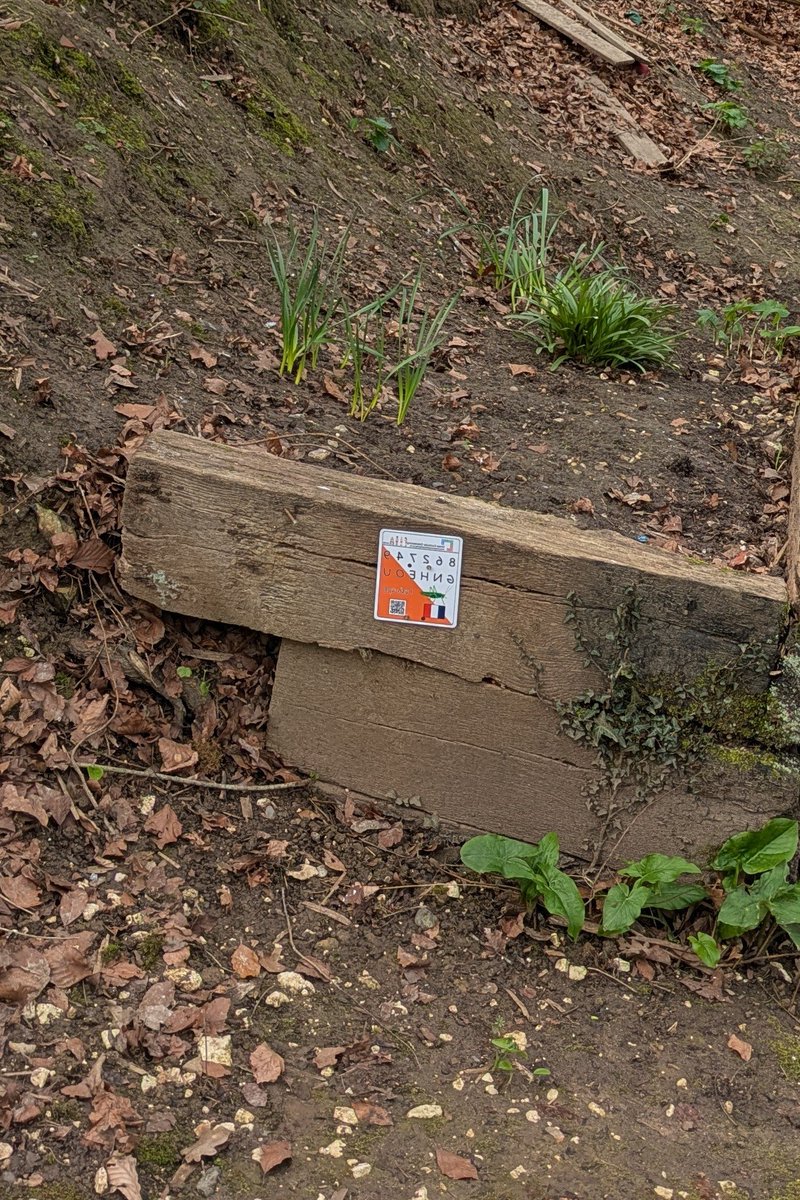 Cross-Curricular Orienteering tweet media