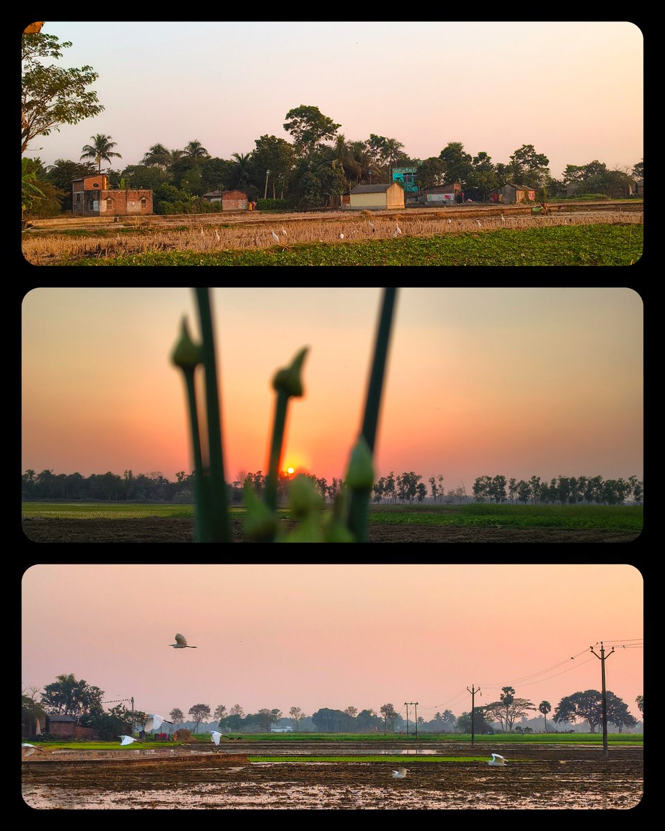 Ankita ☘︎ ݁˖ (@ankiitamalik) on Twitter photo 