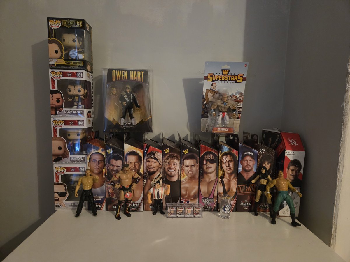 HartbreakHitman's tweet photo. Found some good additions to my WCW collection today 🫶✨️ Both sides coming along nicely now! #Wwe #WCW #NWO https://t.co/AgdpEDAFwm