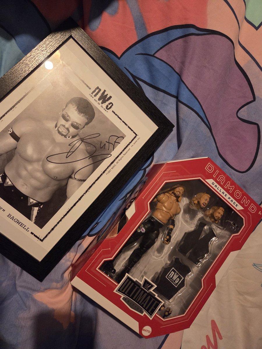 HartbreakHitman's tweet photo. Found some good additions to my WCW collection today 🫶✨️ Both sides coming along nicely now! #Wwe #WCW #NWO https://t.co/AgdpEDAFwm
