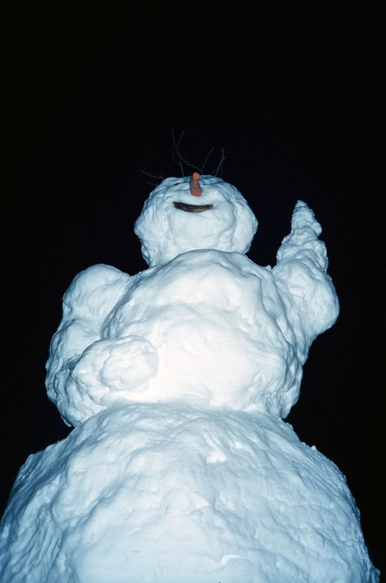 Sweet William tweet media