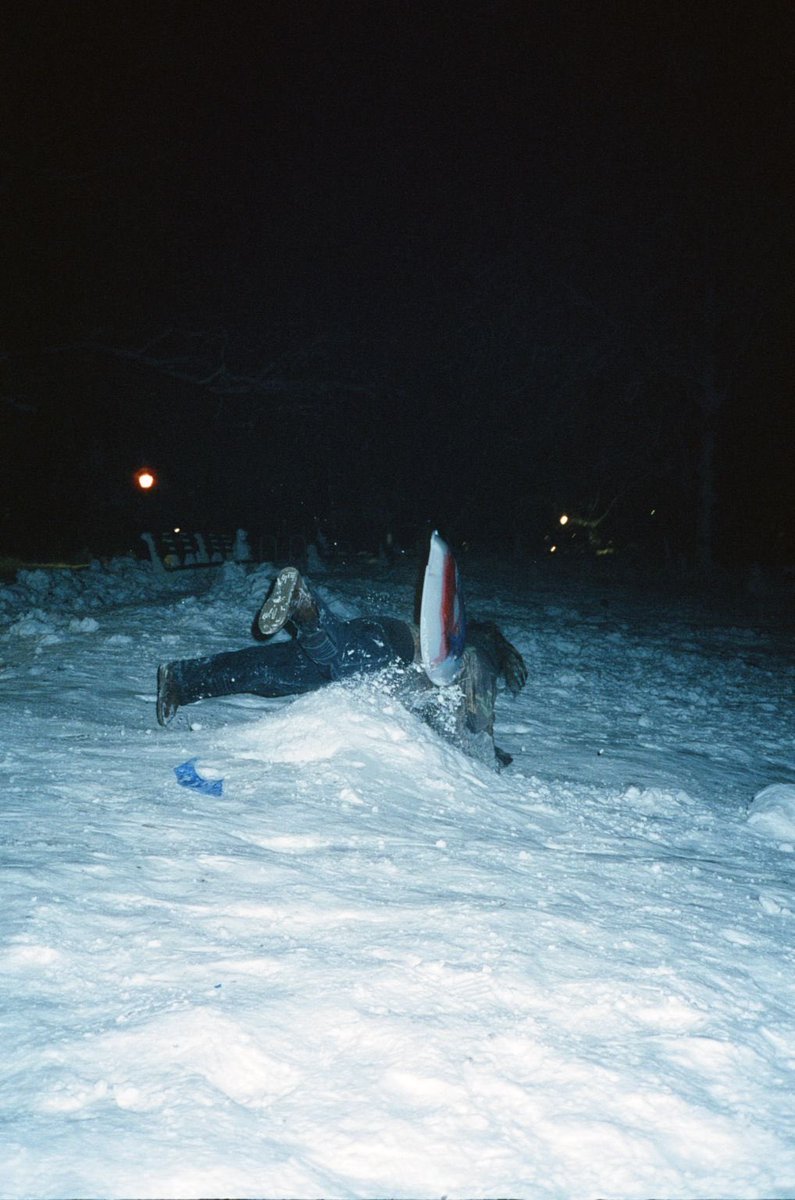 Sweet William tweet media