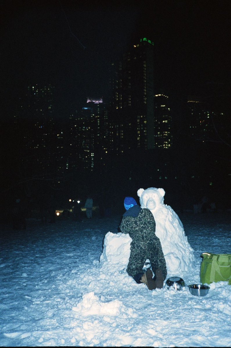 Sweet William tweet media