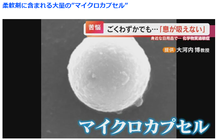 大手の洗剤柔軟剤は「クラスター爆弾」で思ったけど、発想が兵器なんだよ。
健康被害が容易に想像できるし、日用品(雑貨カテゴリ)にこんなヤバいナノテクノロジーを実装しようなんて思わん。普通は。