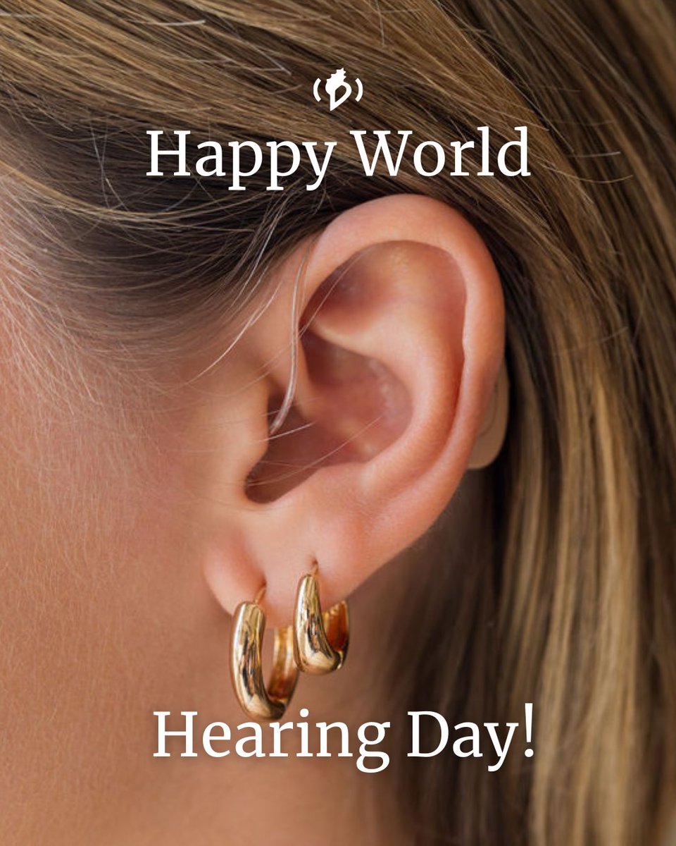 Concha Labs 🐚☀️ tweet media