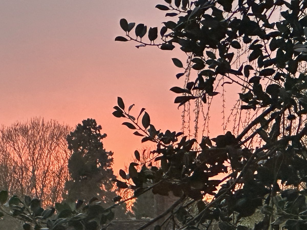 Carol Kirkwood tweet media