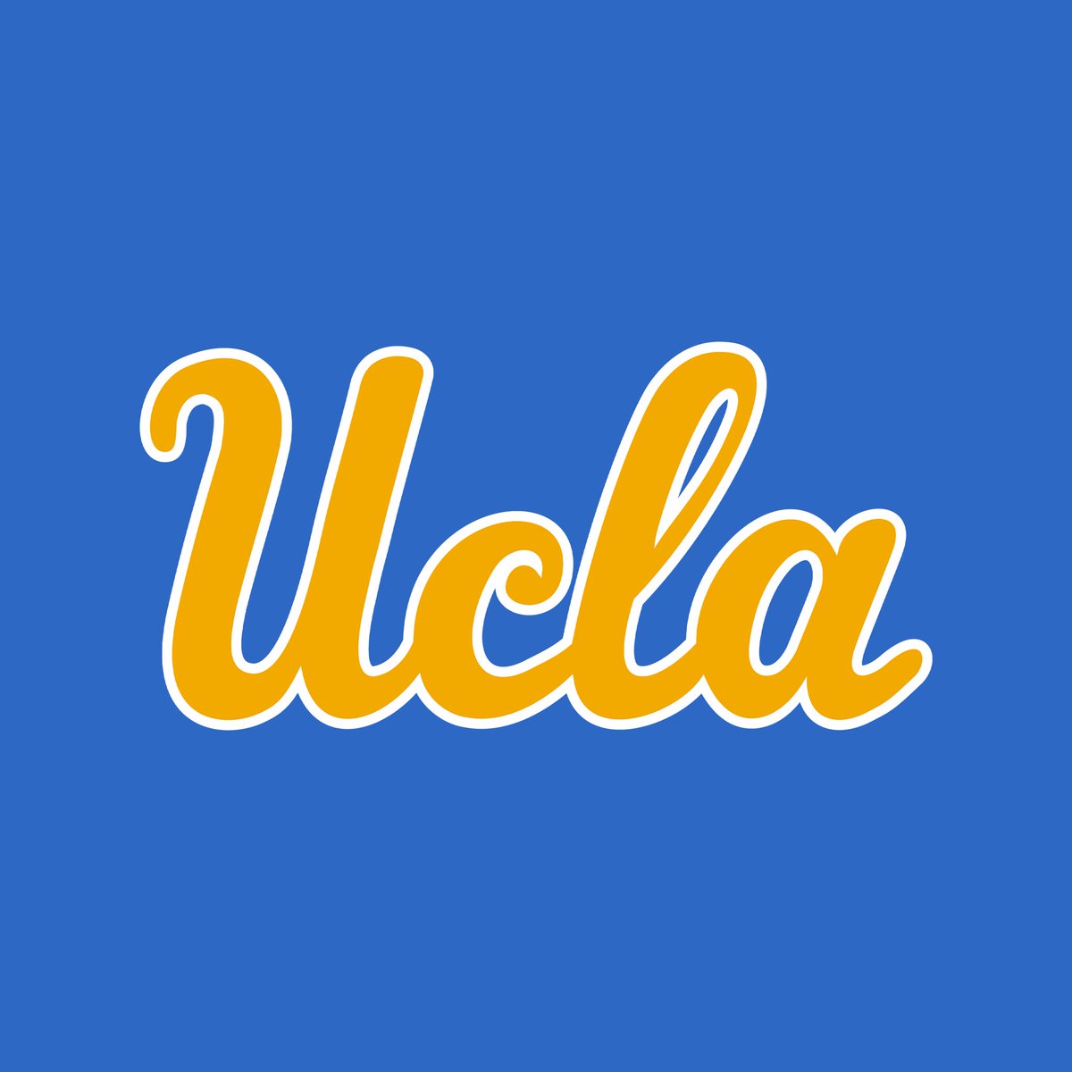 Blackshirts tweet media