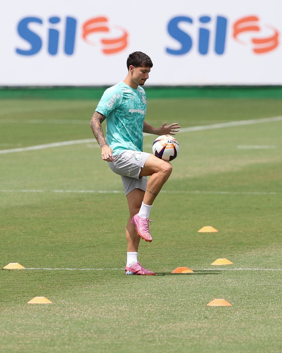 SE Palmeiras tweet media