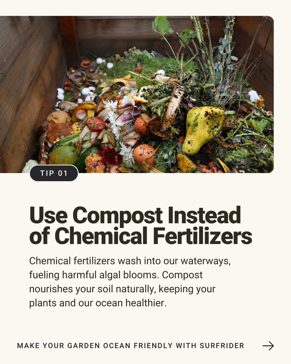 Surfrider Foundation tweet media