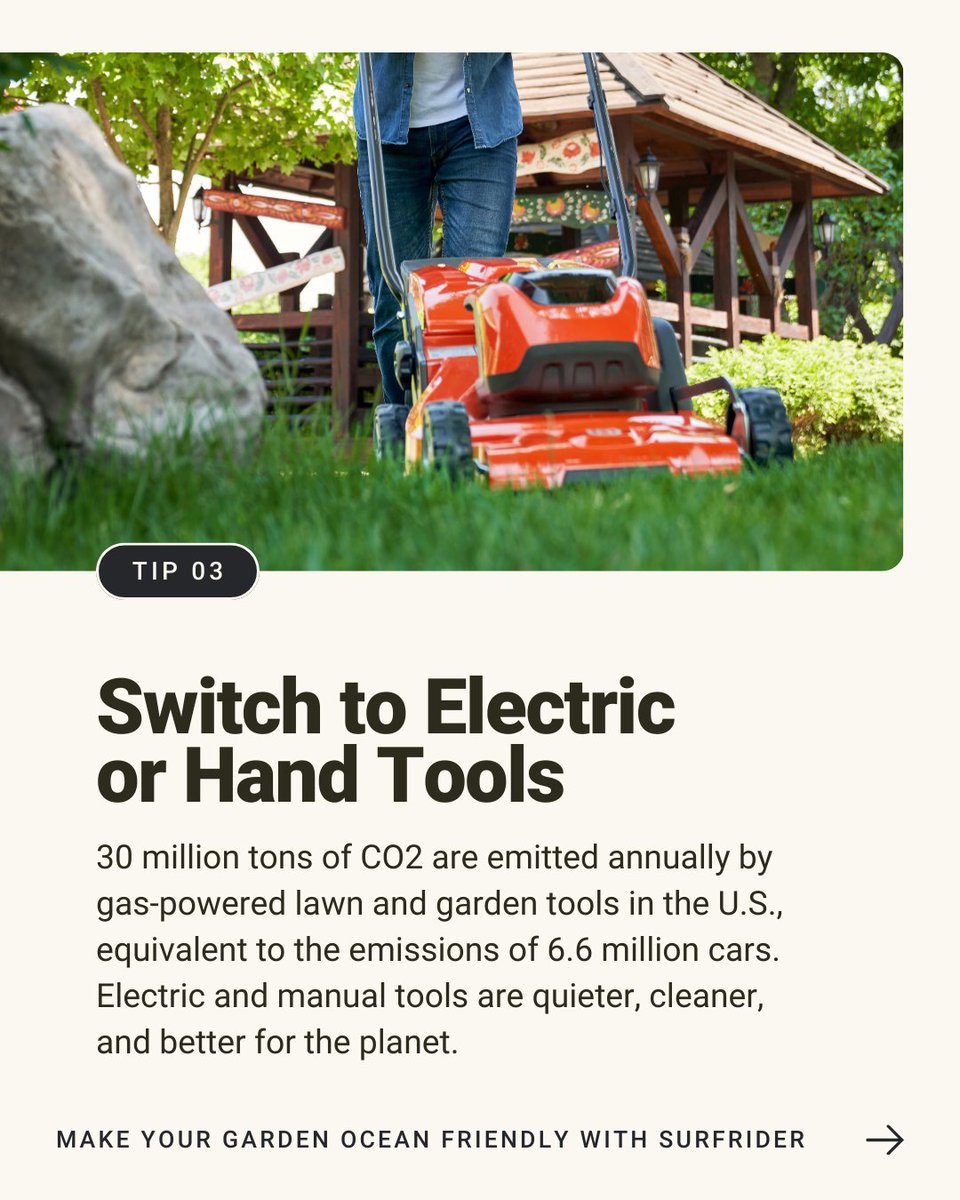 Surfrider Foundation tweet media