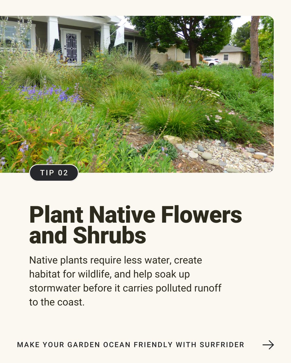 Surfrider Foundation tweet media