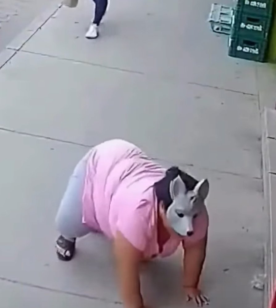 Esa Therian era irresistible🤣🤣🤣🤣
    Iuuuuuuuuu🥰🥰🥰🥰🤣🤣🤣