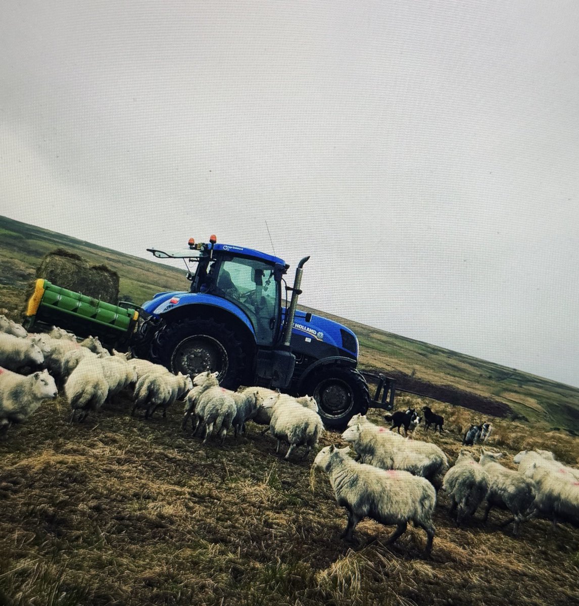 ethpitt_'s tweet photo. This is a blast from the past! Covering a shortage of hay due to low yields. From commercial stock feeding to keeping neighhhbours happy too! #RuralAffairs https://t.co/kkb96gAEbl
