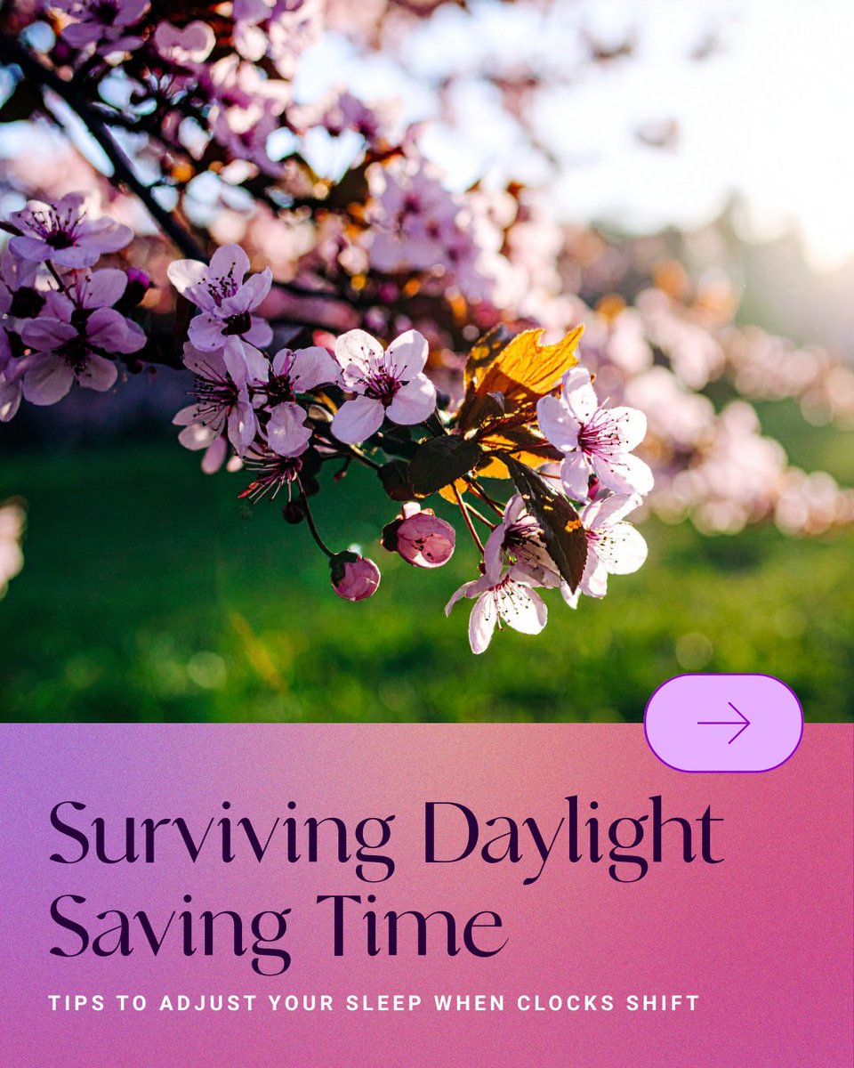 Better Sleep Council tweet media