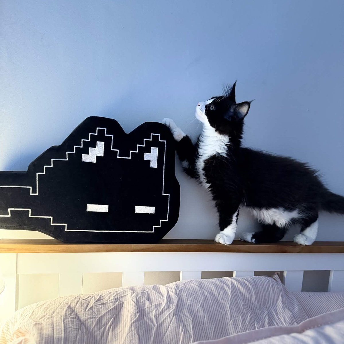 JustKaalin tweet media