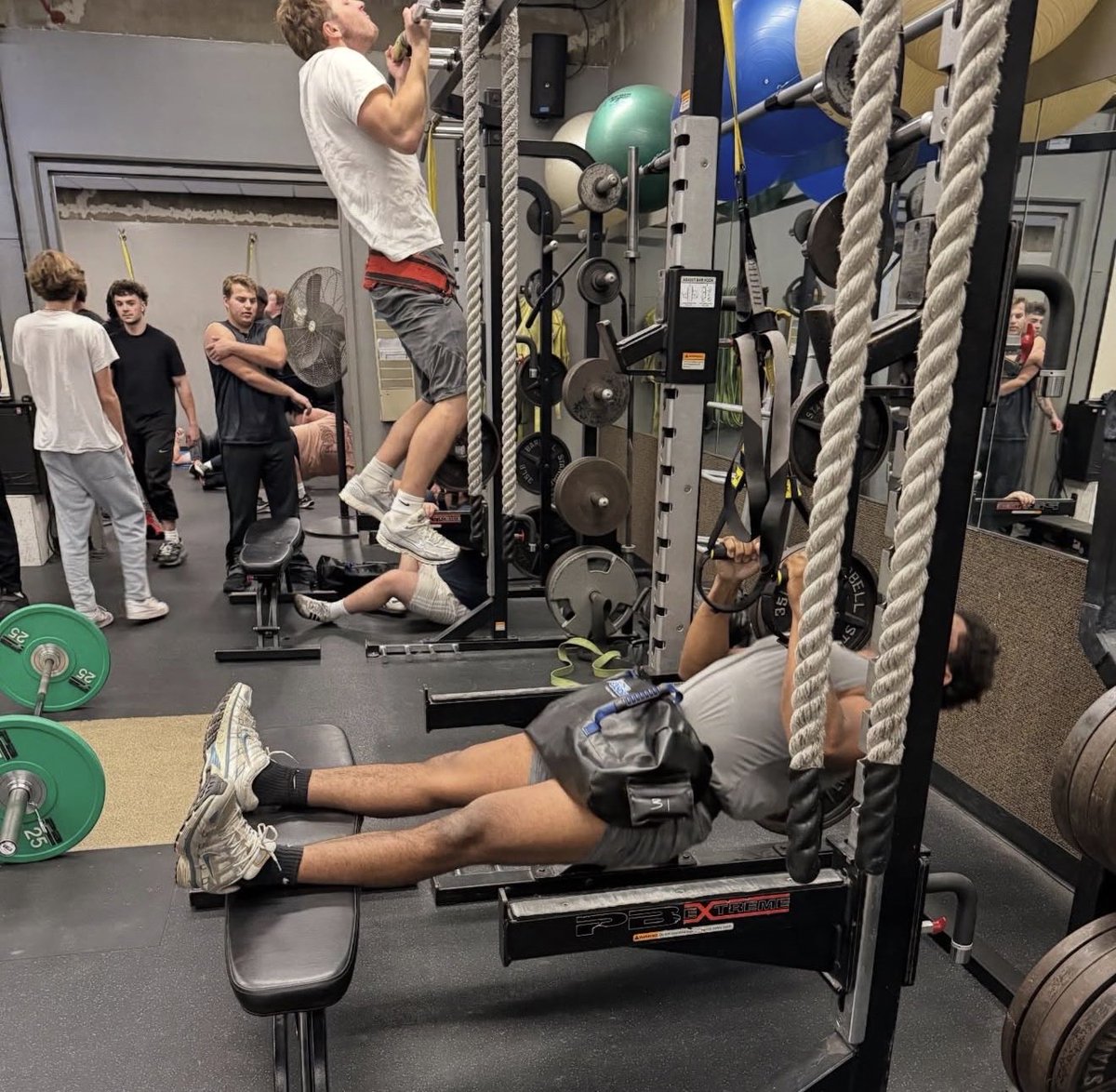 Omar Colon tweet media