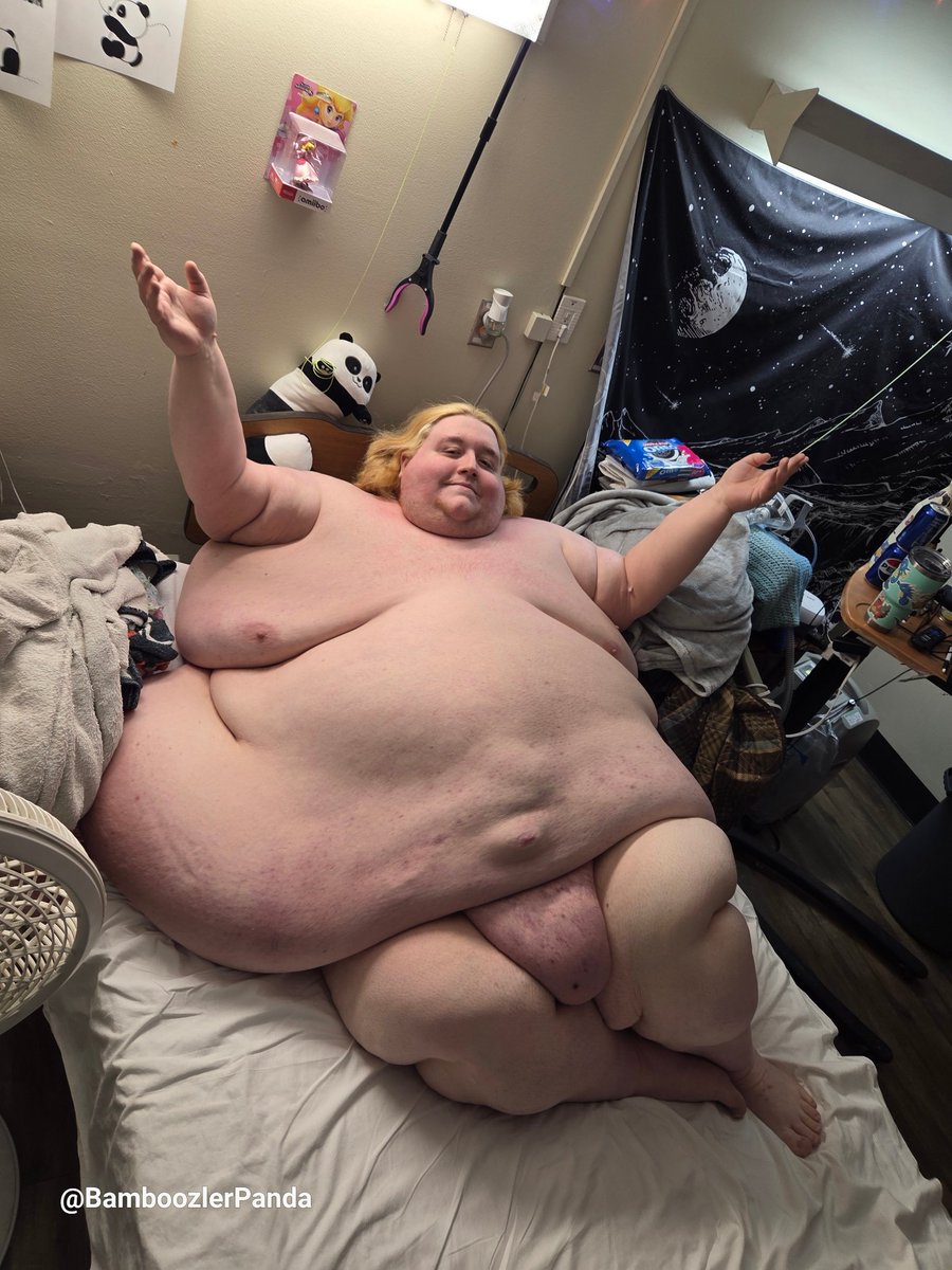 Bamboozler🐼 tweet media