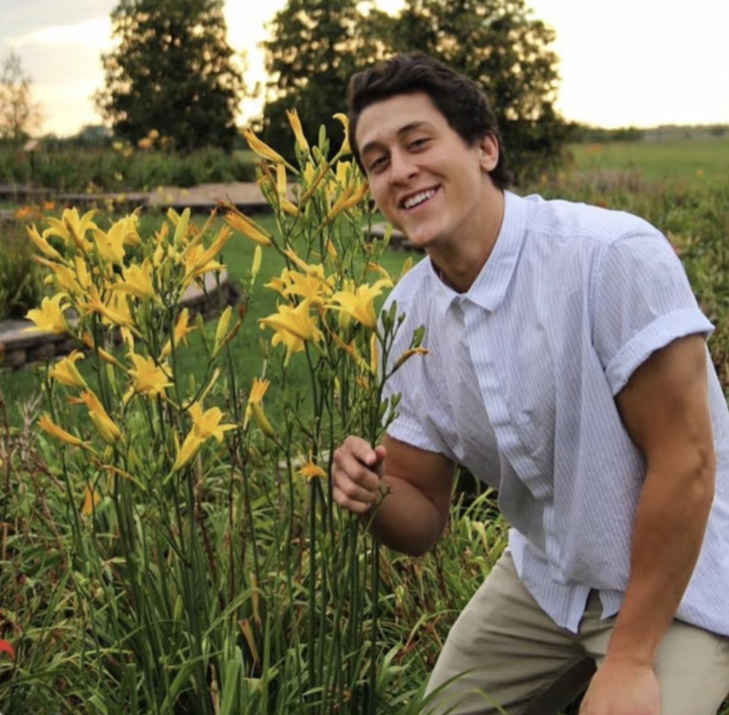 Brandon Gill tweet media