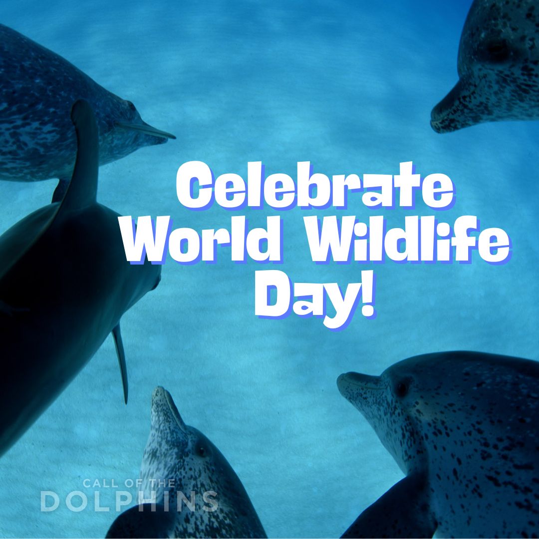 MacGillivray Freeman tweet media