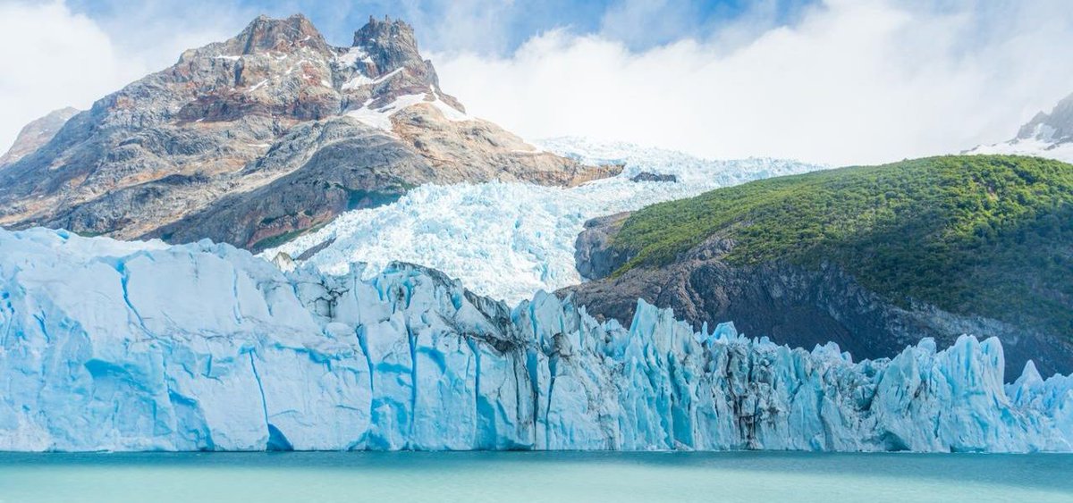 Radio UNR tweet media