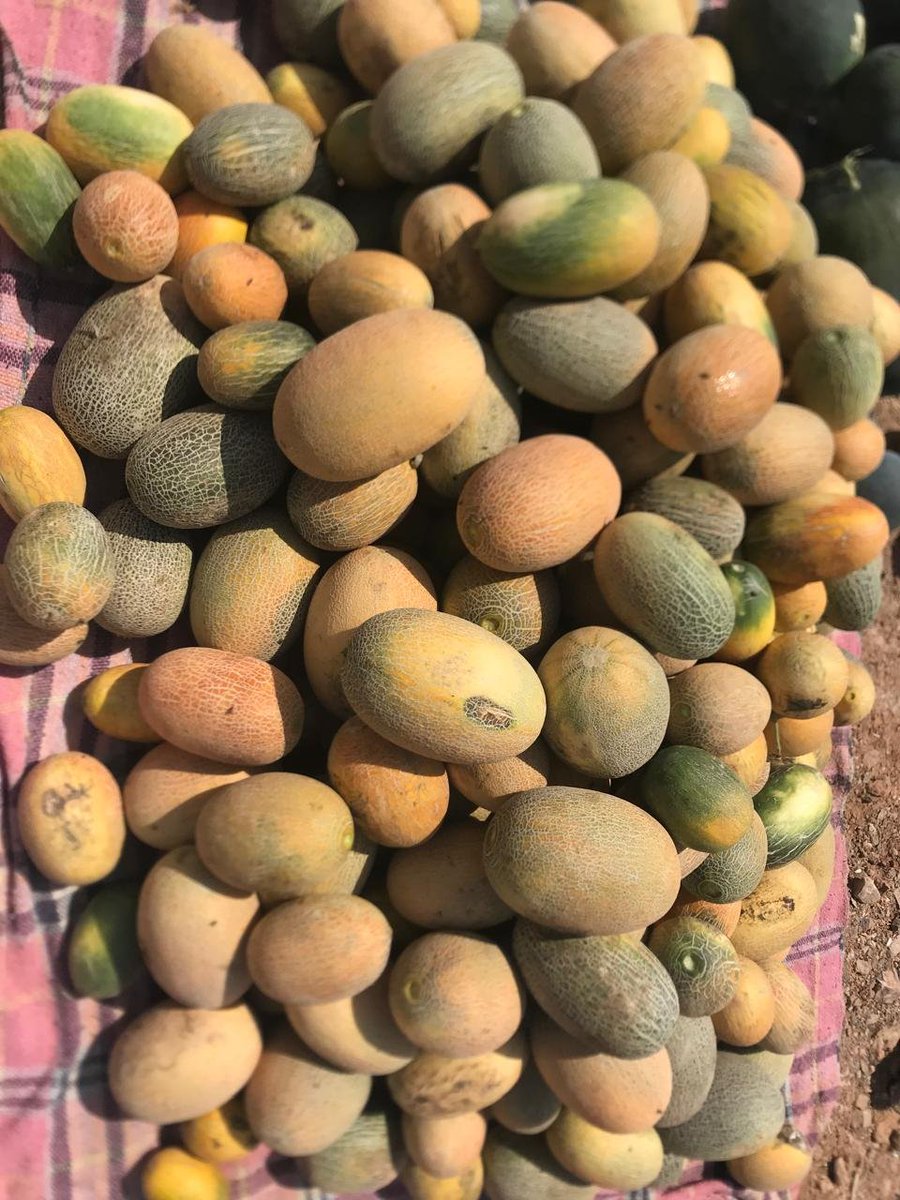 أحمد الرحبي🇴🇲💕🇵🇸 tweet media