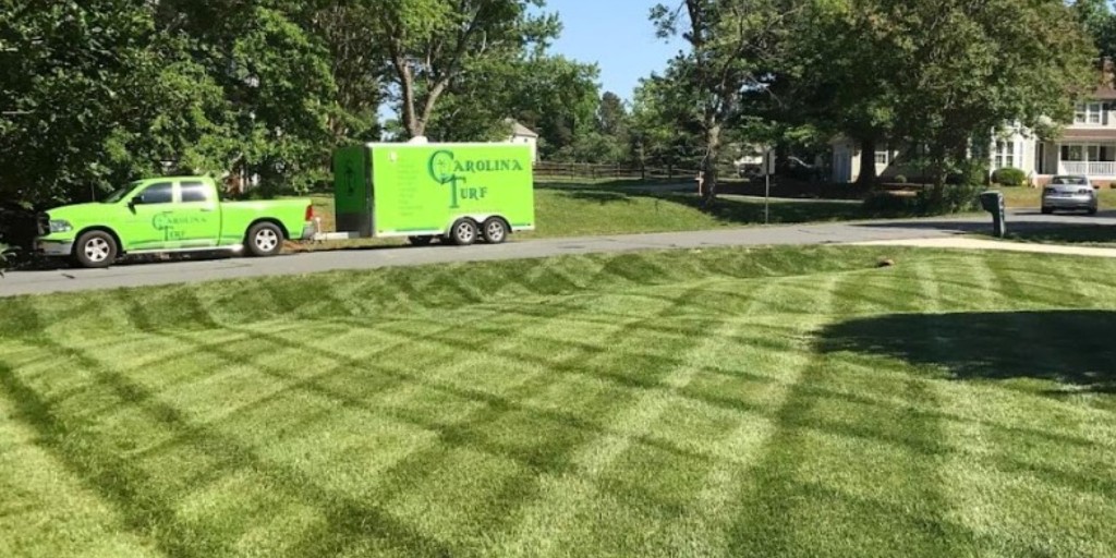 Carolina Turf Lawn and Landscape tweet media