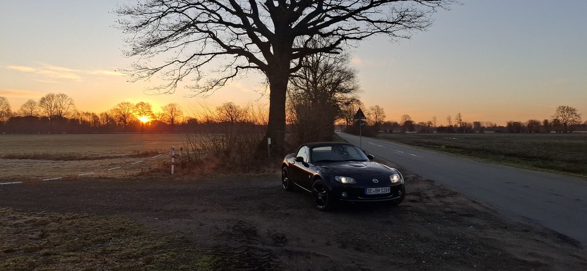 Fire Strike 🔜 Looking for spring 2026 🍀☀️💐🌹🌺 tweet media