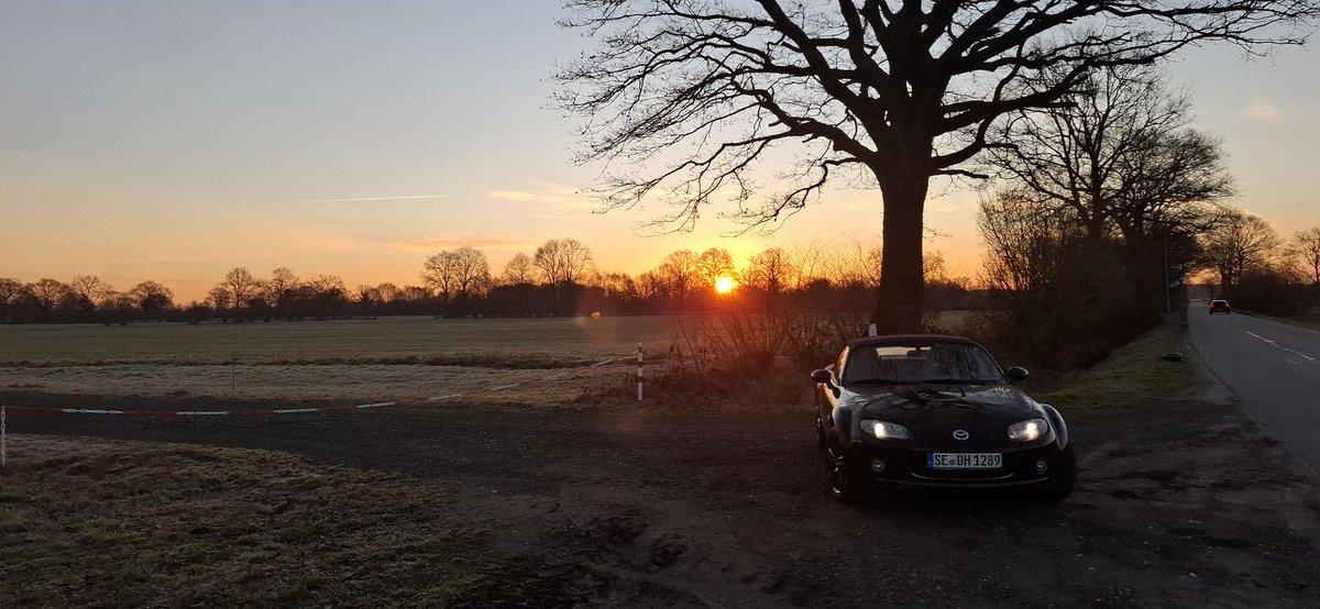 Fire Strike 🔜 Looking for spring 2026 🍀☀️💐🌹🌺 tweet media