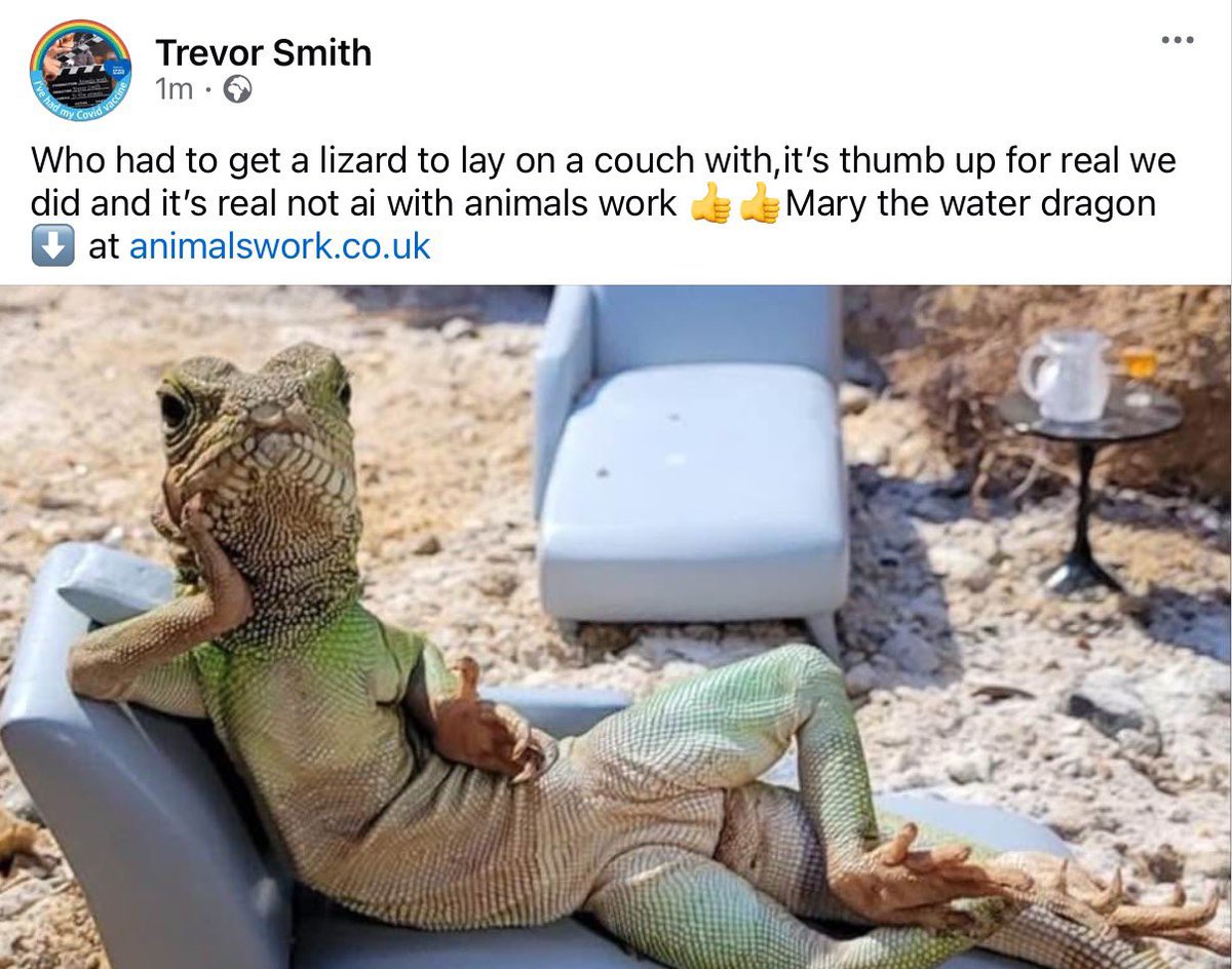 animalswork's tweet photo. Commercial for the tv https://t.co/M5WTb2u2Qp