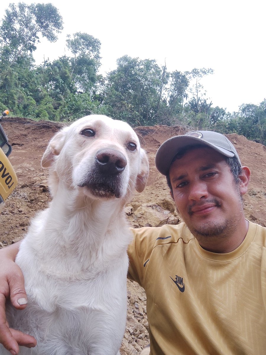 malescriviente tweet media