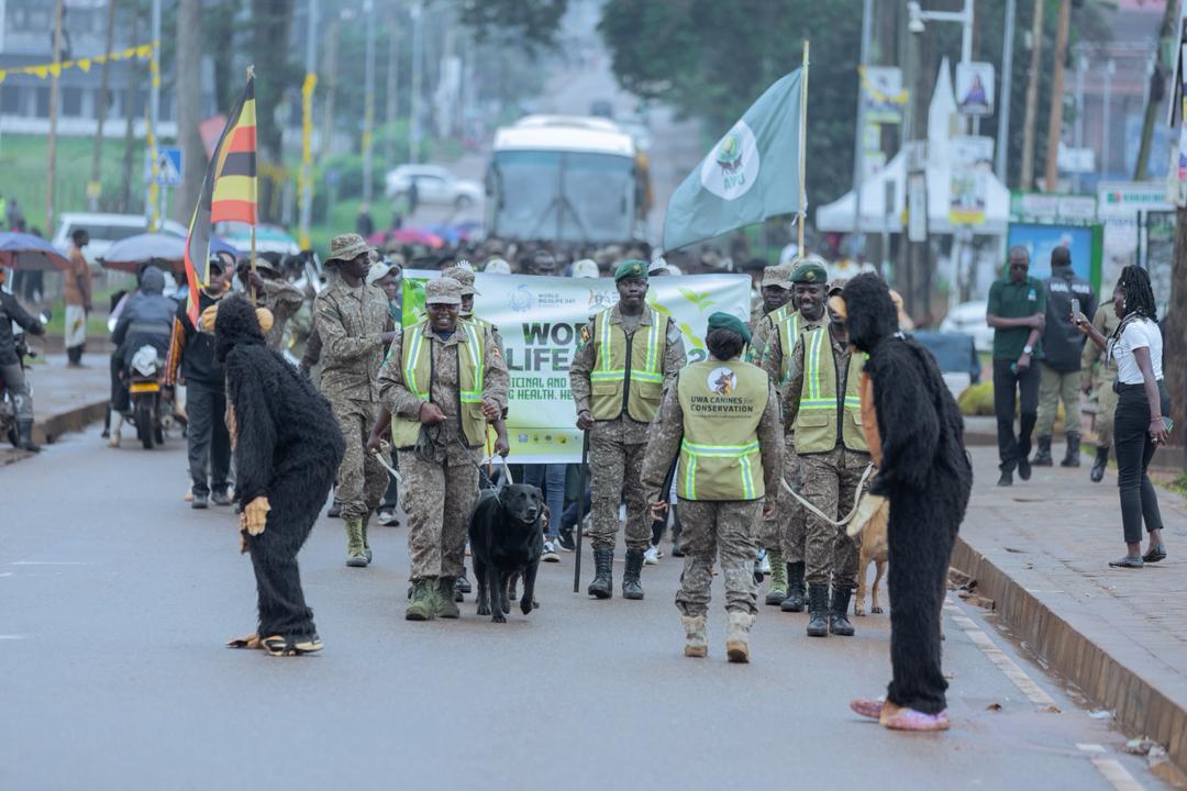 Uganda marked World Wildlife Day today at Entebbe Works Grounds, officiated by Rt. Hon. <a href="/RobinahNabbanja/">Rt. Hon. Nabbanja Robinah. PRIME MINISTER</a>, Prime Minister.

The celebration highlighted the importance of protecting medicinal and aromatic plants, with UWA showcasing protected species and new educational materials