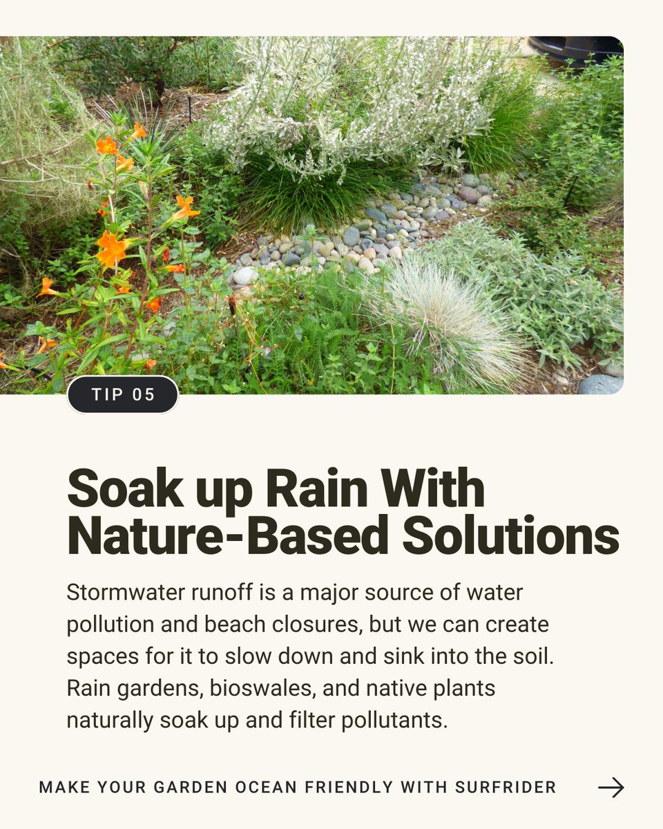 Surfrider Foundation tweet media