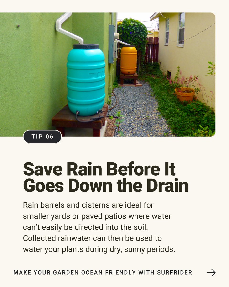 Surfrider Foundation tweet media