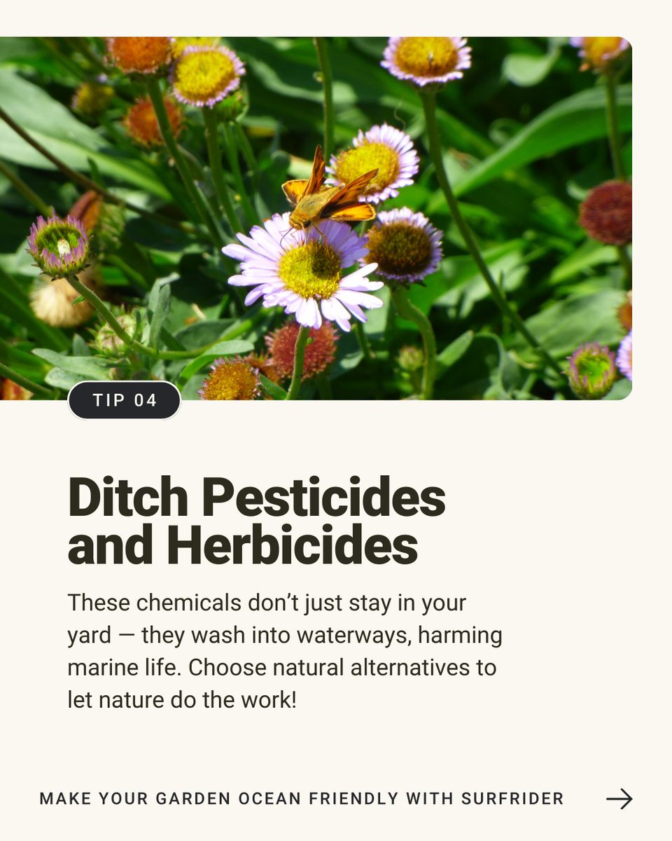 Surfrider Foundation tweet media