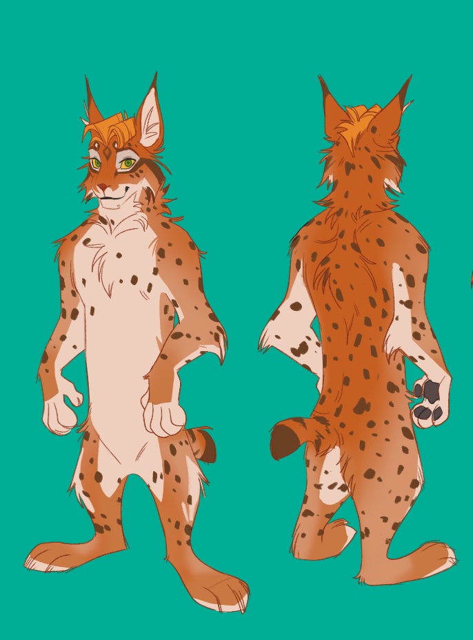 Ritwells tweet media