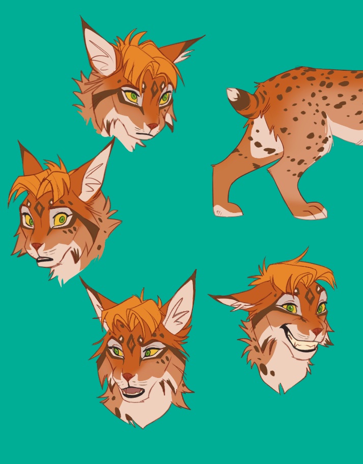 Ritwells tweet media