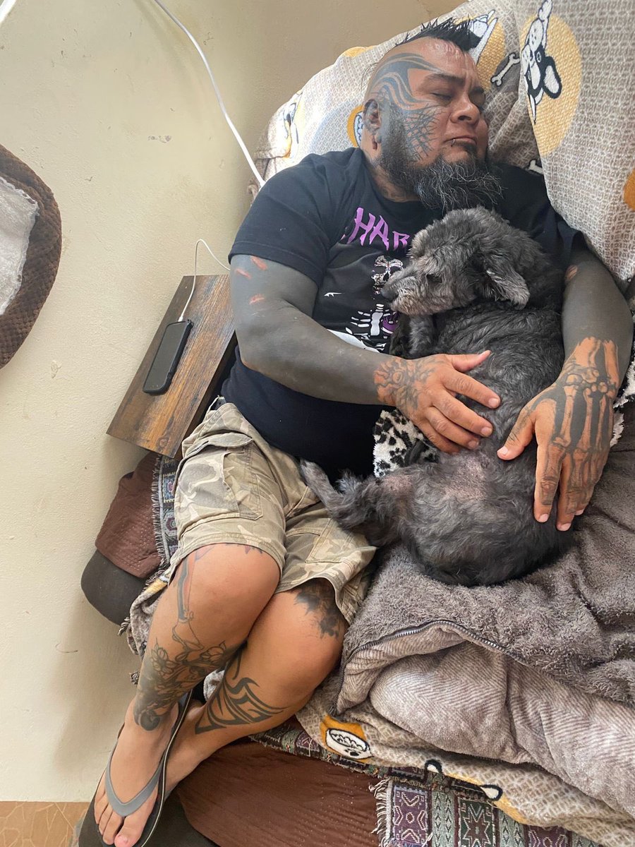 DEMUS DEMONIO デムース tweet media