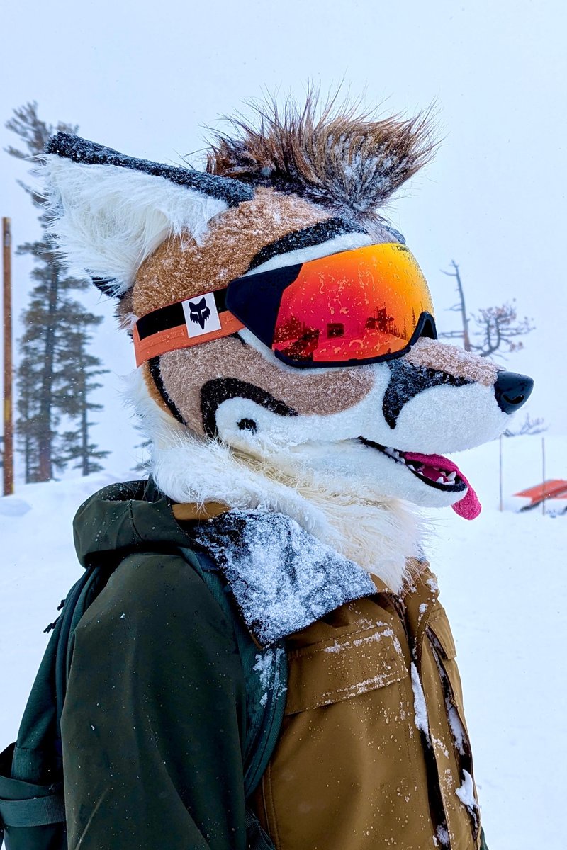 Why no, my fur is 𝘥𝘦𝘧𝘪𝘯𝘪𝘵𝘦𝘭𝘺 not frozen solid. Why do you ask? 🧊🦊☃️🧊